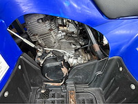 Yamaha - quad - 2010 - afbeelding 3 van  15