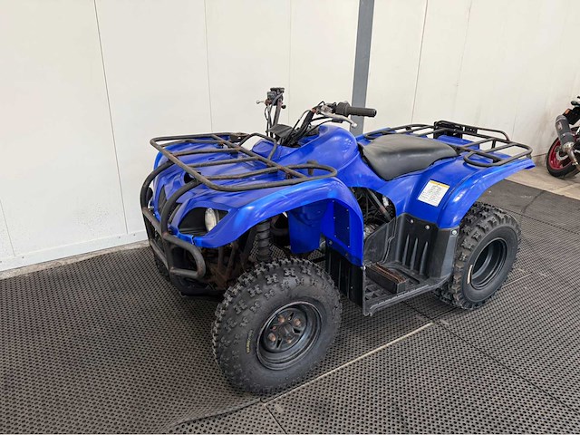 Yamaha - quad - 2010 - afbeelding 1 van  15