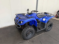 Yamaha - quad - 2010 - afbeelding 1 van  15