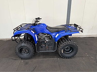 Yamaha - quad - 2010 - afbeelding 8 van  15