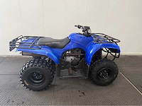 Yamaha - quad - 2010 - afbeelding 12 van  15
