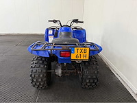 Yamaha - quad - 2010 - afbeelding 14 van  15