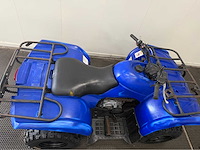 Yamaha - quad - 2010 - afbeelding 15 van  15