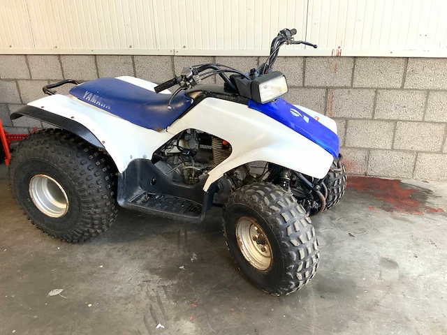 Yamaha breeze 125cc quad - afbeelding 4 van  10