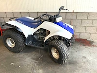 Yamaha breeze 125cc quad - afbeelding 4 van  10