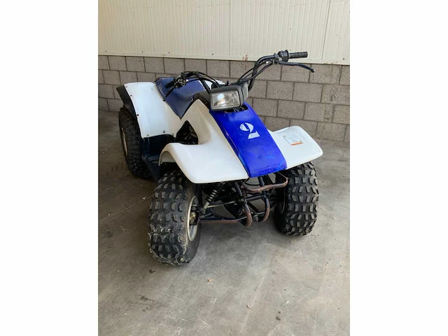 Yamaha breeze 125cc quad - afbeelding 6 van  10