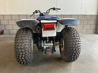 Yamaha breeze 125cc quad - afbeelding 8 van  10