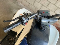 Yamaha breeze 125cc quad - afbeelding 10 van  10