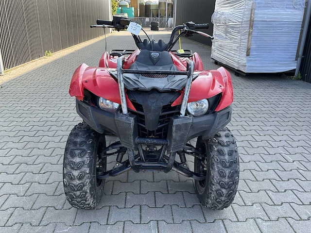 Yamaha grizzly 300 quad - afbeelding 8 van  12