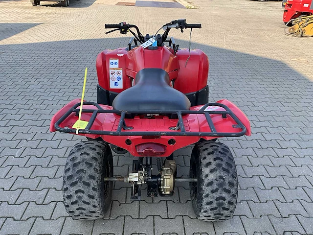 Yamaha grizzly 300 quad - afbeelding 9 van  12