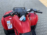 Yamaha grizzly 300 quad - afbeelding 11 van  12