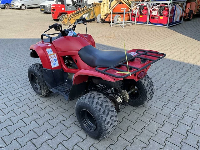 Yamaha grizzly 300 quad - afbeelding 6 van  12