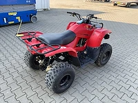 Yamaha grizzly 300 quad - afbeelding 7 van  12