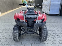 Yamaha grizzly 300 quad - afbeelding 8 van  12