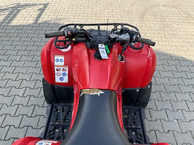 Yamaha grizzly 300 quad - afbeelding 2 van  12