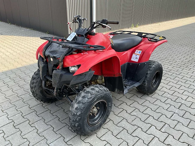 Yamaha grizzly 300 quad - afbeelding 1 van  12