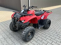 Yamaha grizzly 300 quad - afbeelding 1 van  12