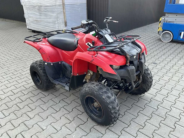 Yamaha grizzly 300 quad - afbeelding 5 van  12