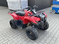 Yamaha grizzly 300 quad - afbeelding 5 van  12