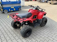 Yamaha grizzly 300 quad - afbeelding 6 van  12