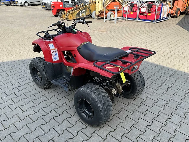 Yamaha grizzly 300 quad - afbeelding 7 van  12