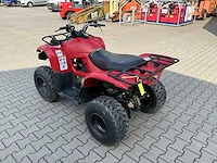 Yamaha grizzly 300 quad - afbeelding 7 van  12