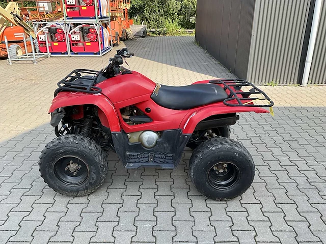 Yamaha grizzly 300 quad - afbeelding 8 van  12