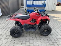 Yamaha grizzly 300 quad - afbeelding 9 van  12