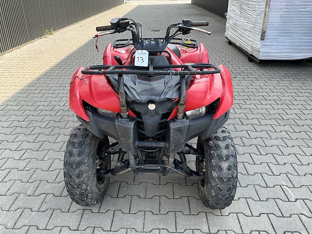 Yamaha grizzly 300 quad - afbeelding 10 van  12