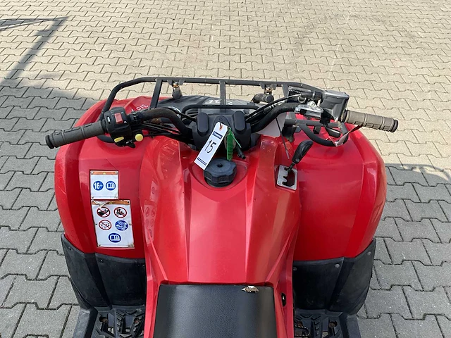 Yamaha grizzly 300 quad - afbeelding 2 van  12