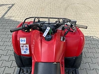 Yamaha grizzly 300 quad - afbeelding 2 van  12