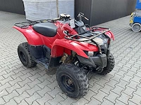 Yamaha grizzly 300 quad - afbeelding 5 van  12