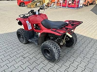 Yamaha grizzly 300 quad - afbeelding 7 van  12