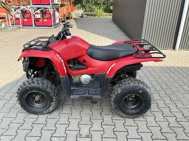 Yamaha grizzly 300 quad - afbeelding 8 van  12