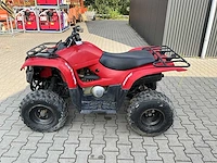 Yamaha grizzly 300 quad - afbeelding 8 van  12