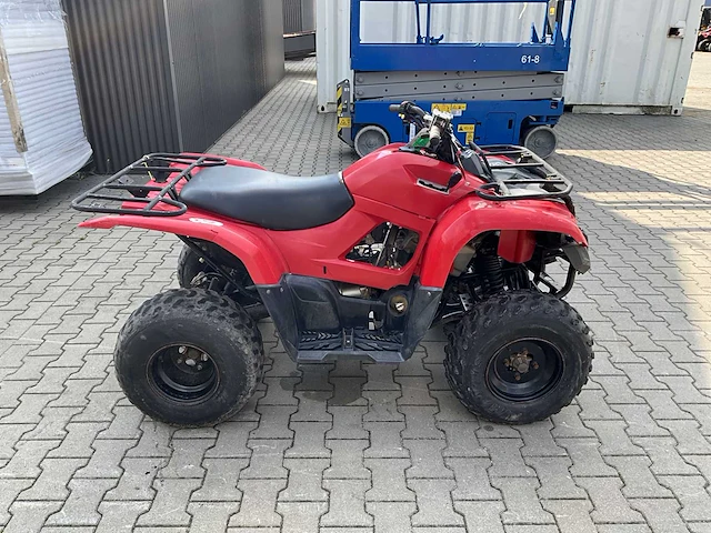Yamaha grizzly 300 quad - afbeelding 9 van  12