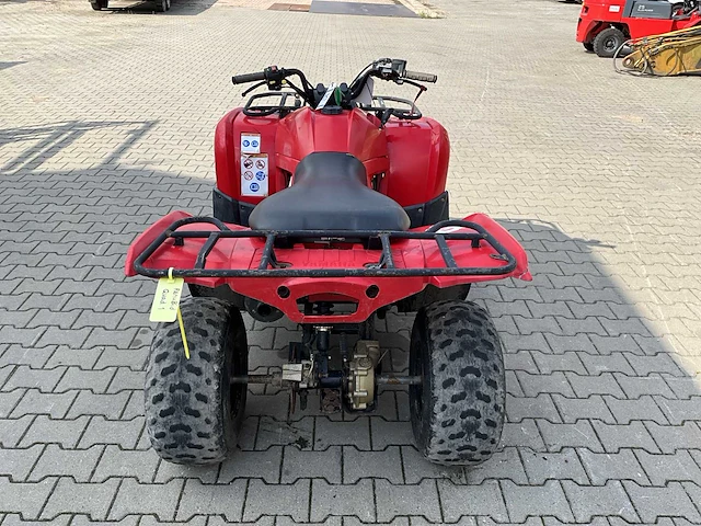 Yamaha grizzly 300 quad - afbeelding 11 van  12