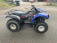 Yamaha quad - afbeelding 10 van  11