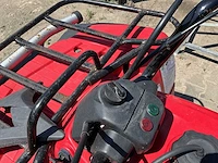 Yamaha timberwolf quad - afbeelding 12 van  18