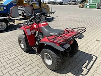 Yamaha timberwolf quad - afbeelding 4 van  18