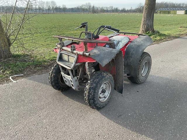 Yamaha timberwolf quad - afbeelding 1 van  9