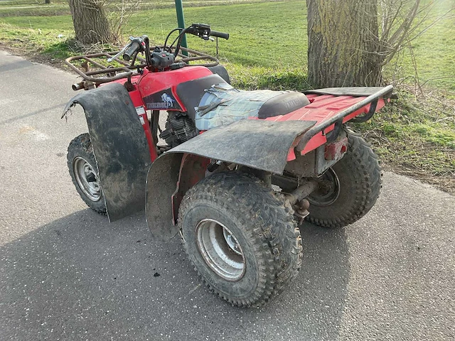 Yamaha timberwolf quad - afbeelding 4 van  9