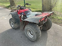 Yamaha timberwolf quad - afbeelding 4 van  9