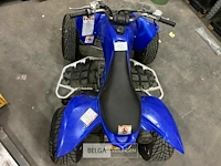 Yamaha yfm250r bouwjaar 2008 sleutel aanwezig werking onbekend - afbeelding 4 van  4