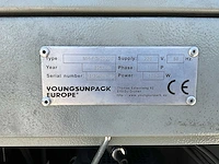 Youngsunpack mh-fg-2000b wikkelfolie machine - afbeelding 4 van  12