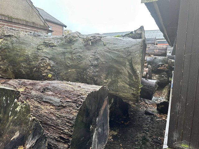 Zaagstammen zagerij - nederlandse herkomst - eiken balken en boomstammen (46x) - afbeelding 3 van  6