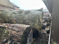 Zaagstammen zagerij - nederlandse herkomst - eiken balken en boomstammen (46x) - afbeelding 3 van  6