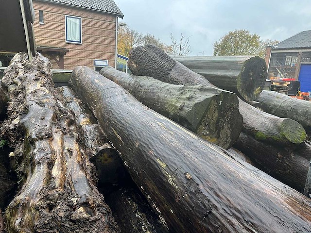 Zaagstammen zagerij - nederlandse herkomst - eiken balken en boomstammen (46x) - afbeelding 4 van  6