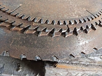 Zaagtafel, moes - afbeelding 4 van  15