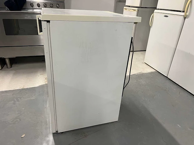 Zanussi - zanussi vriezer + etna koelkast tafelmodel - afbeelding 10 van  14